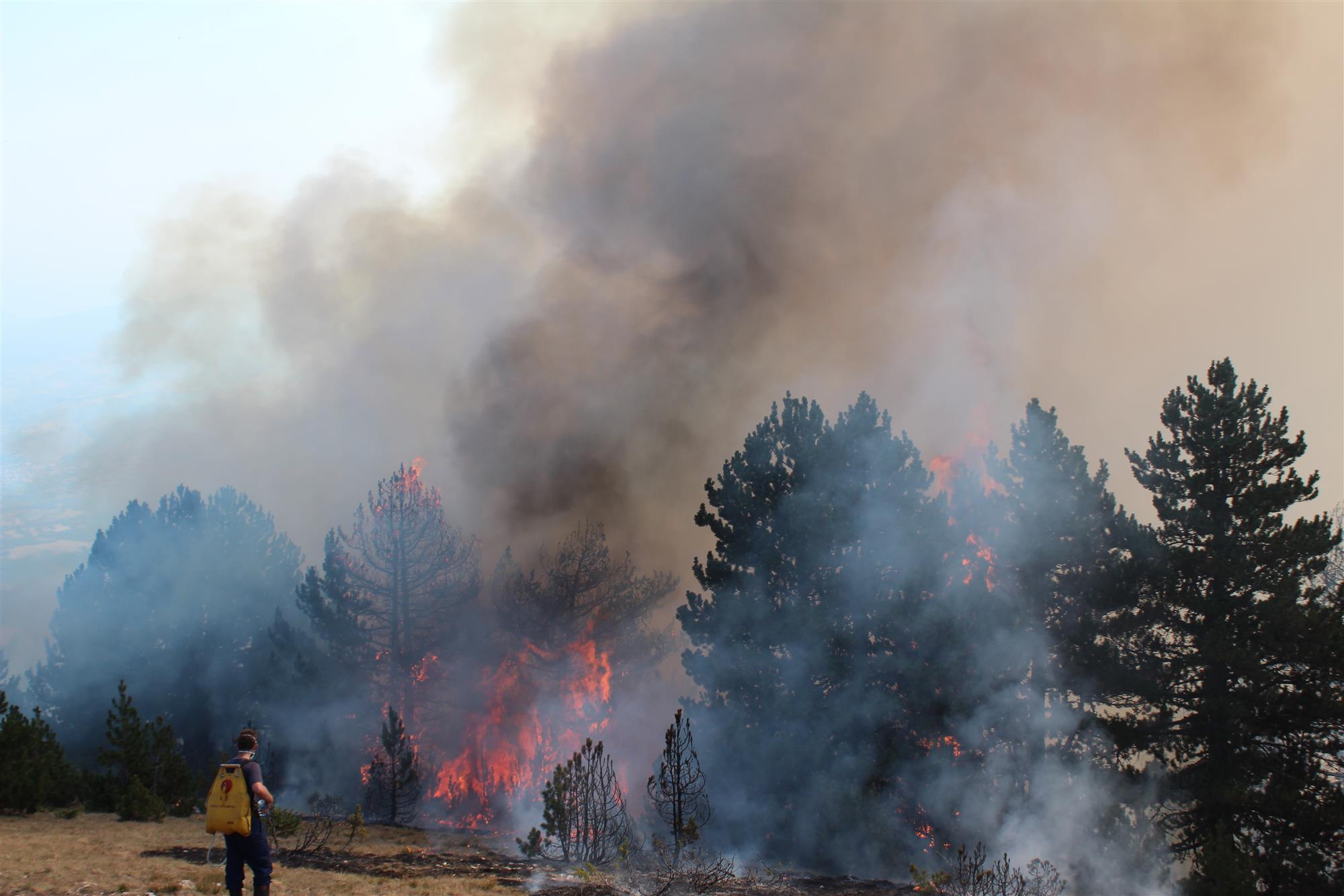 APPEAL TO PUBLIC - TEMPERATURE SPIKE INCREASES WILDFIRE RISK!